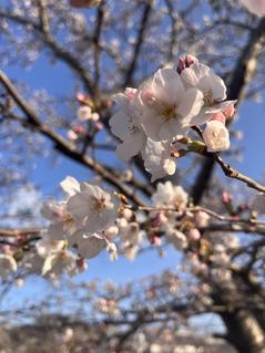 IMG_1185.jpg