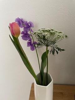 IMG_2417.jpg