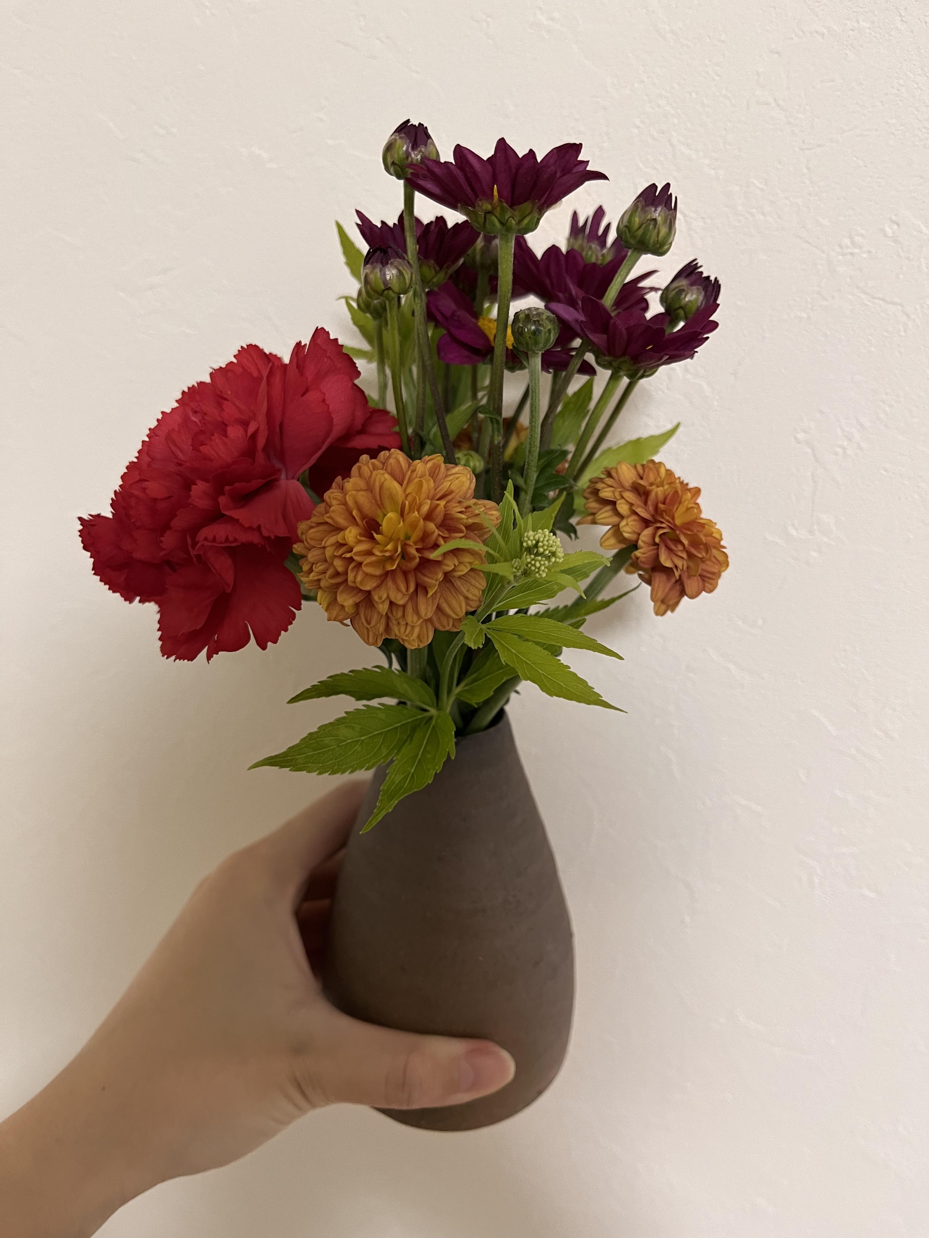 image_67166209.JPG