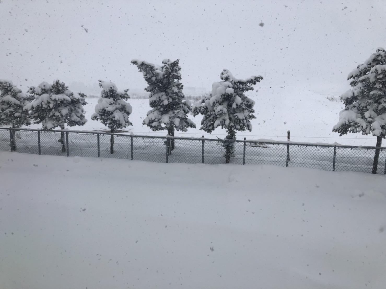 １２月１日の北海道.jpeg
