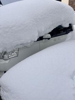 250213ɎԖ(A)A.jpg