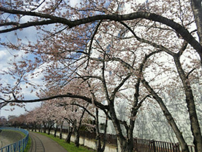20160421a.jpg