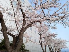 IMG_20230411_163708.jpg