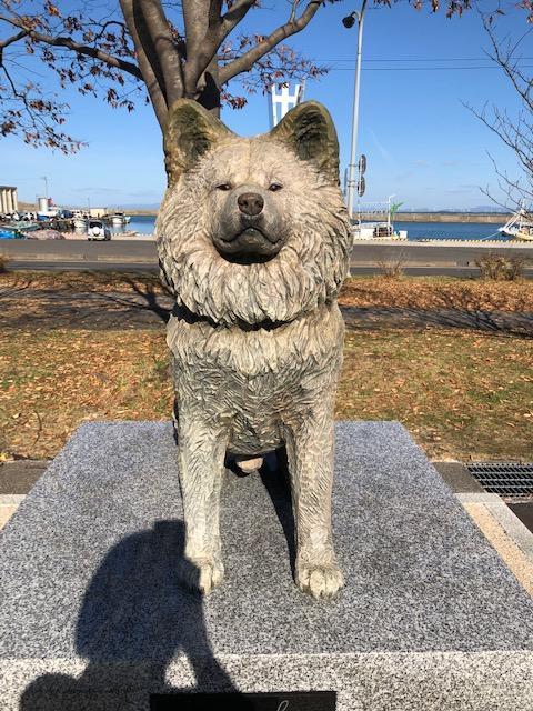 わさお.jpg