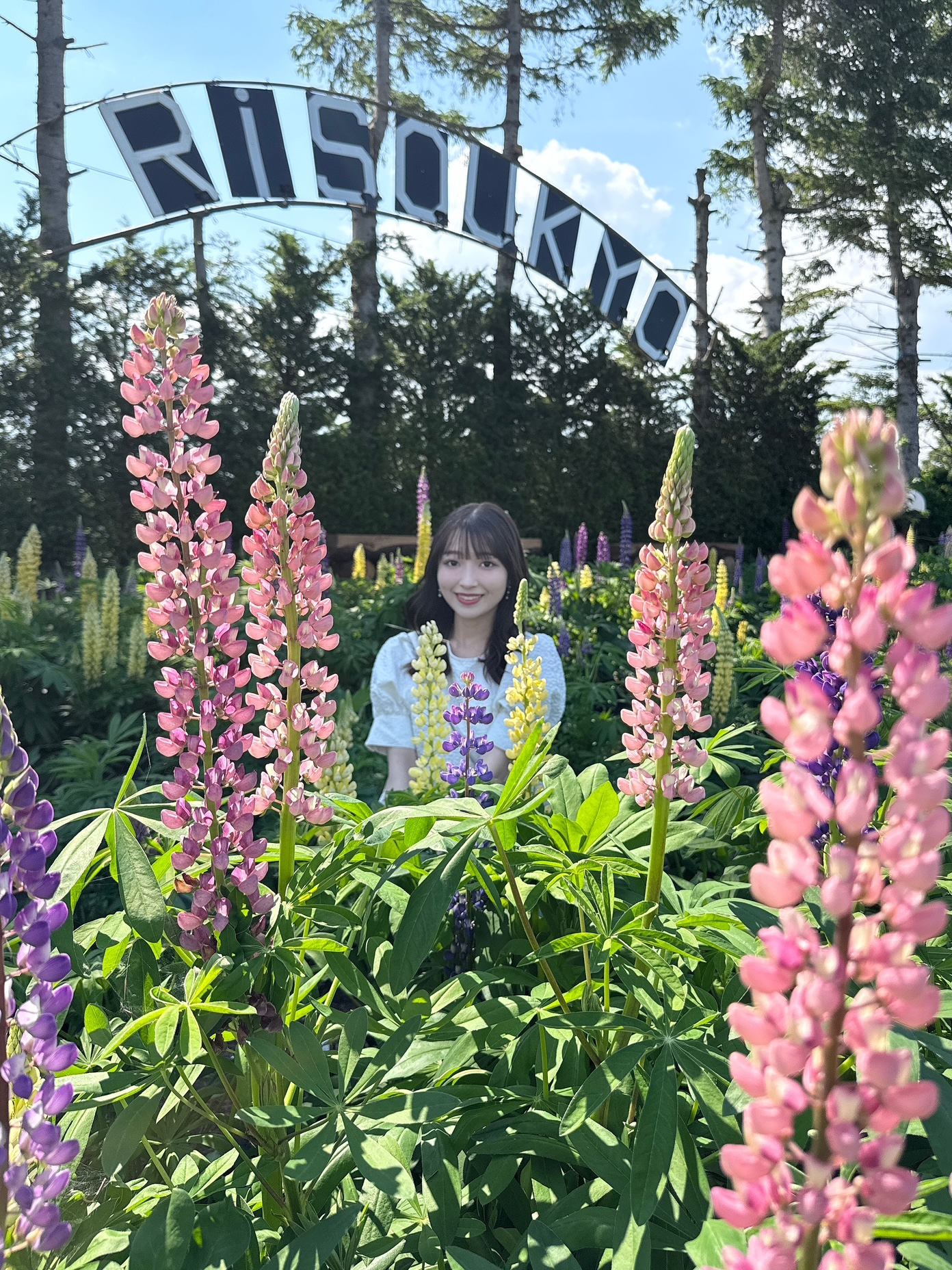 お花 3