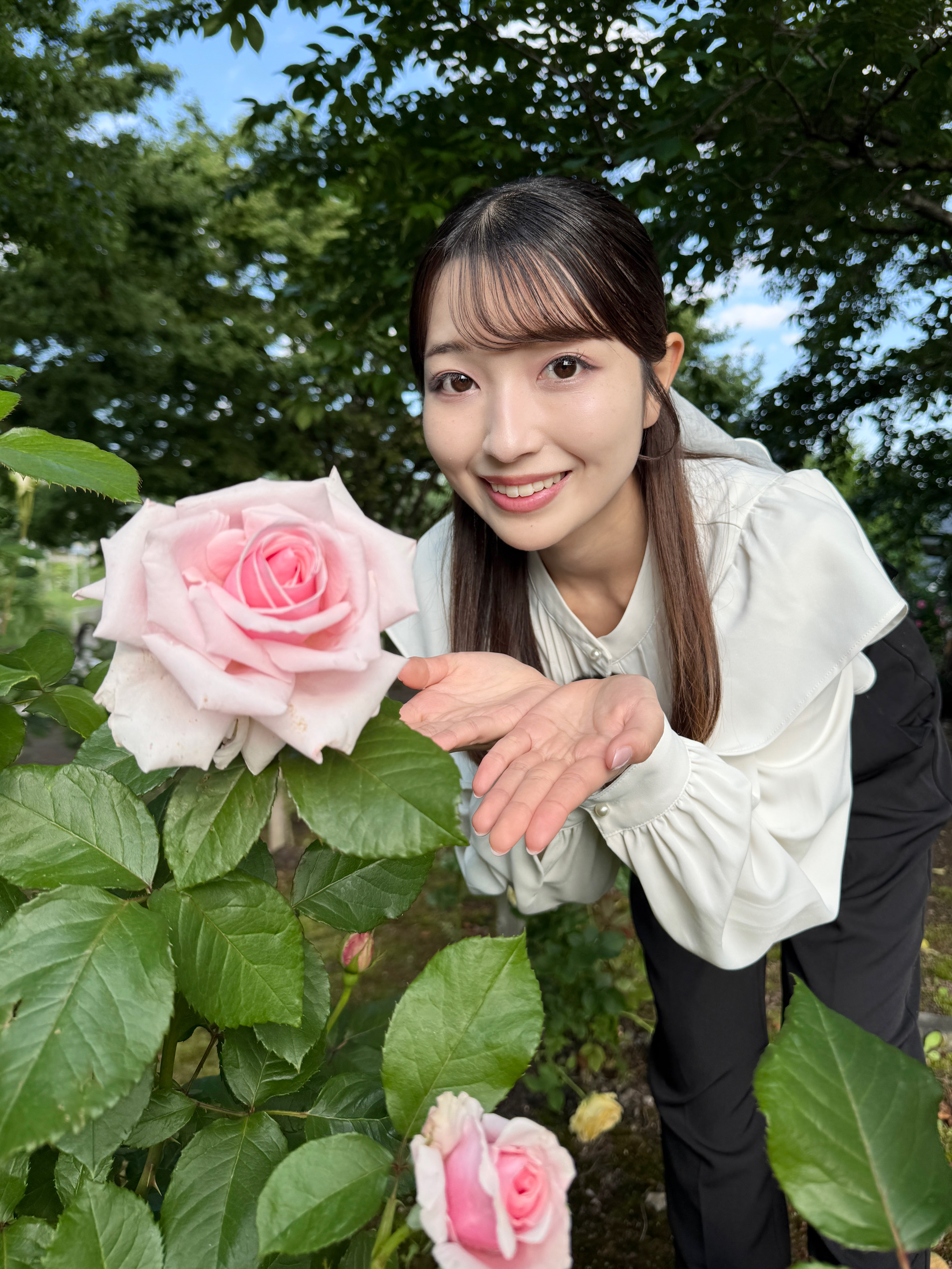 お花 1