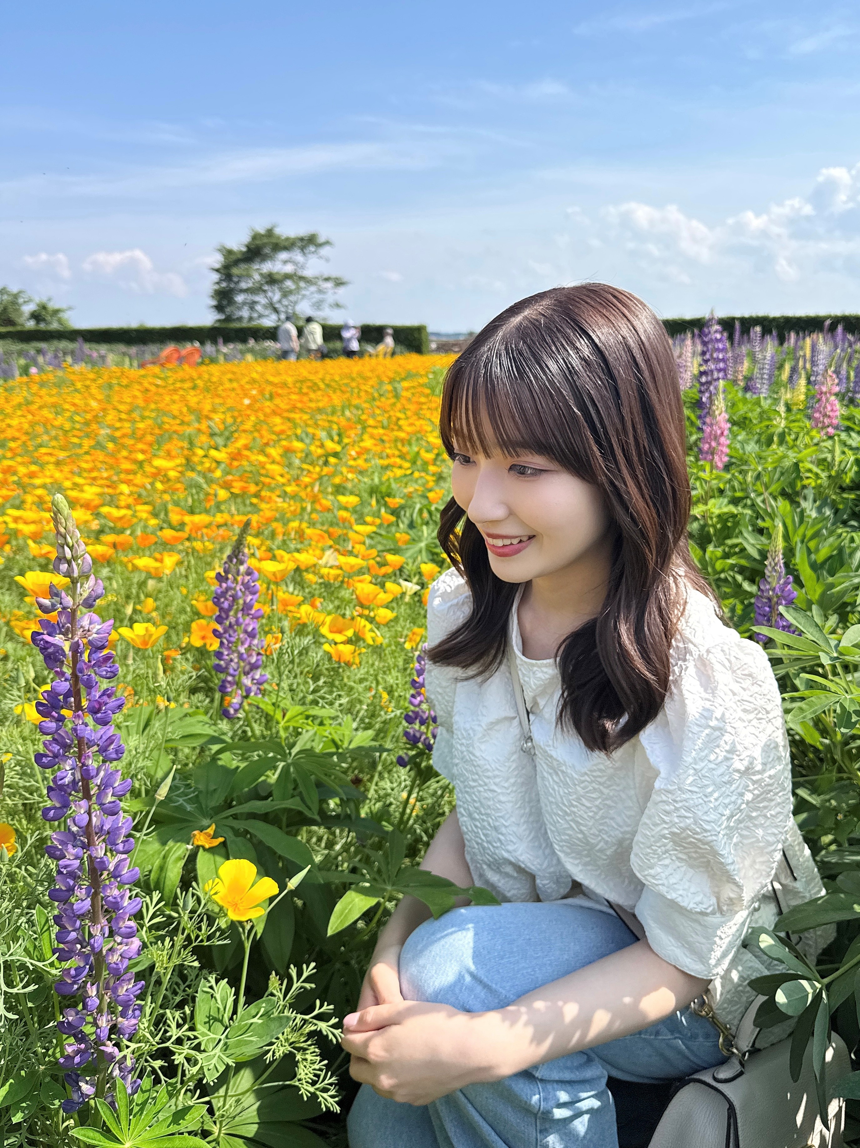 お花2