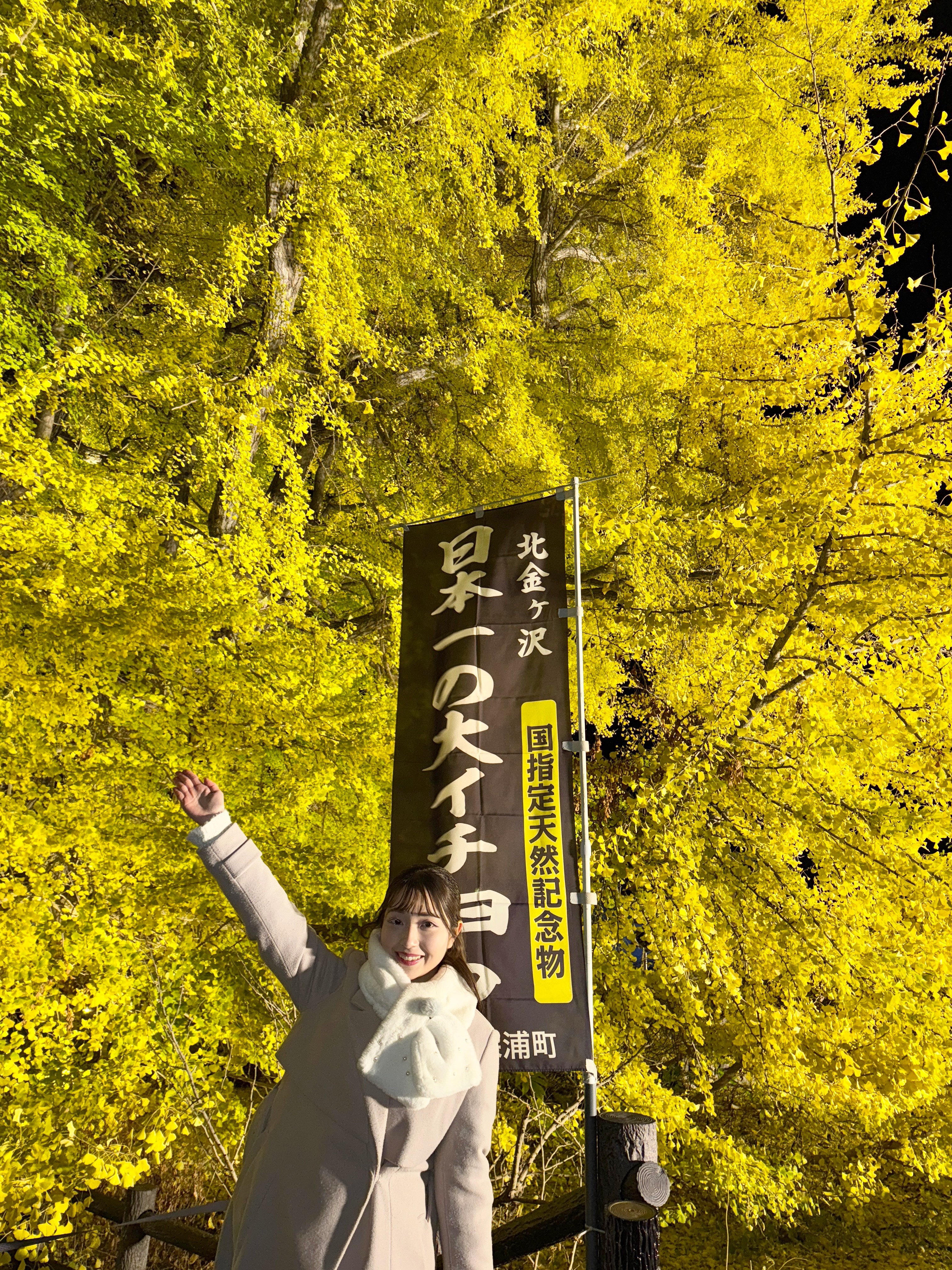 ビッグイエロー中継