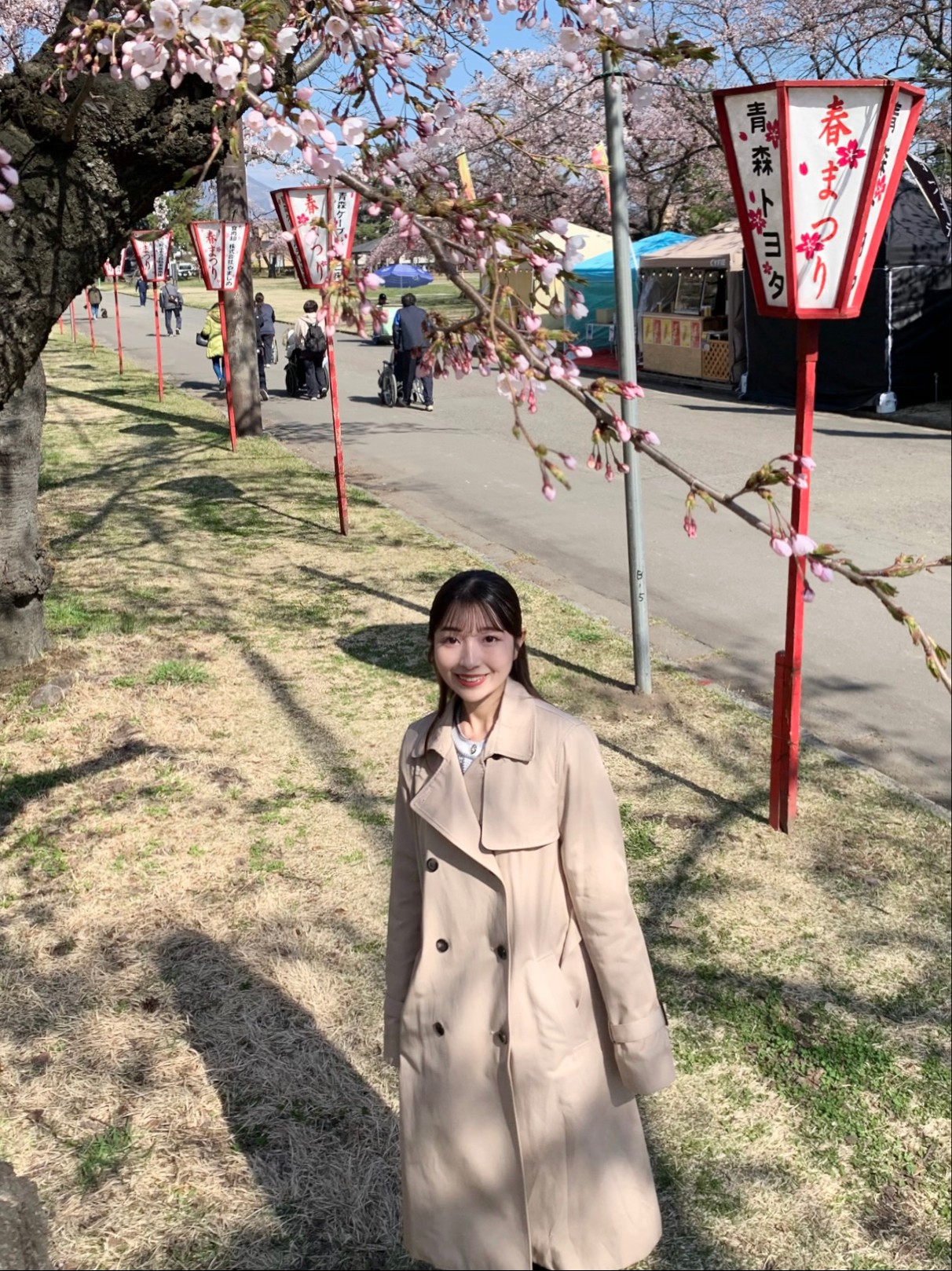 合浦公園さくら