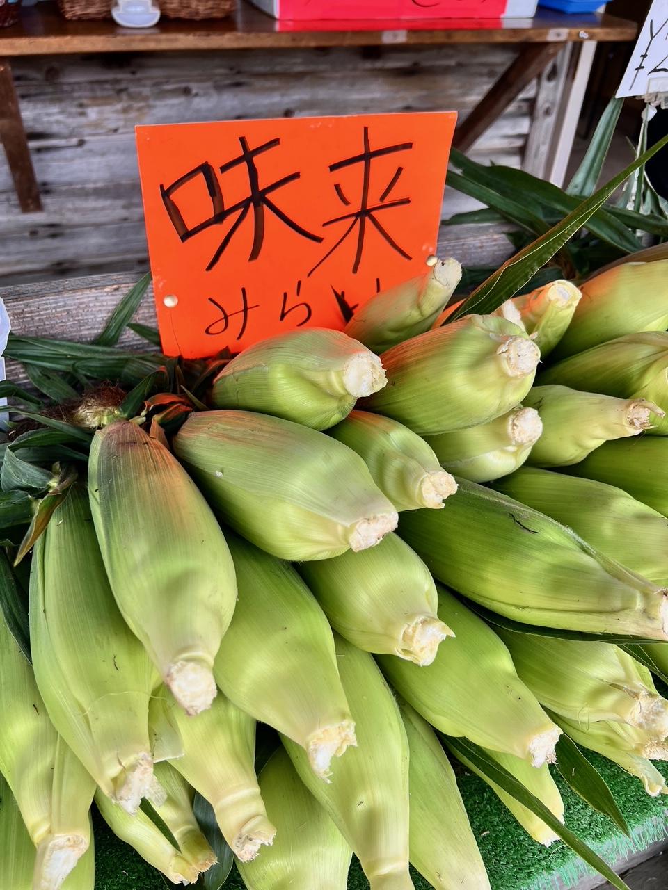 嶽きみ　味来