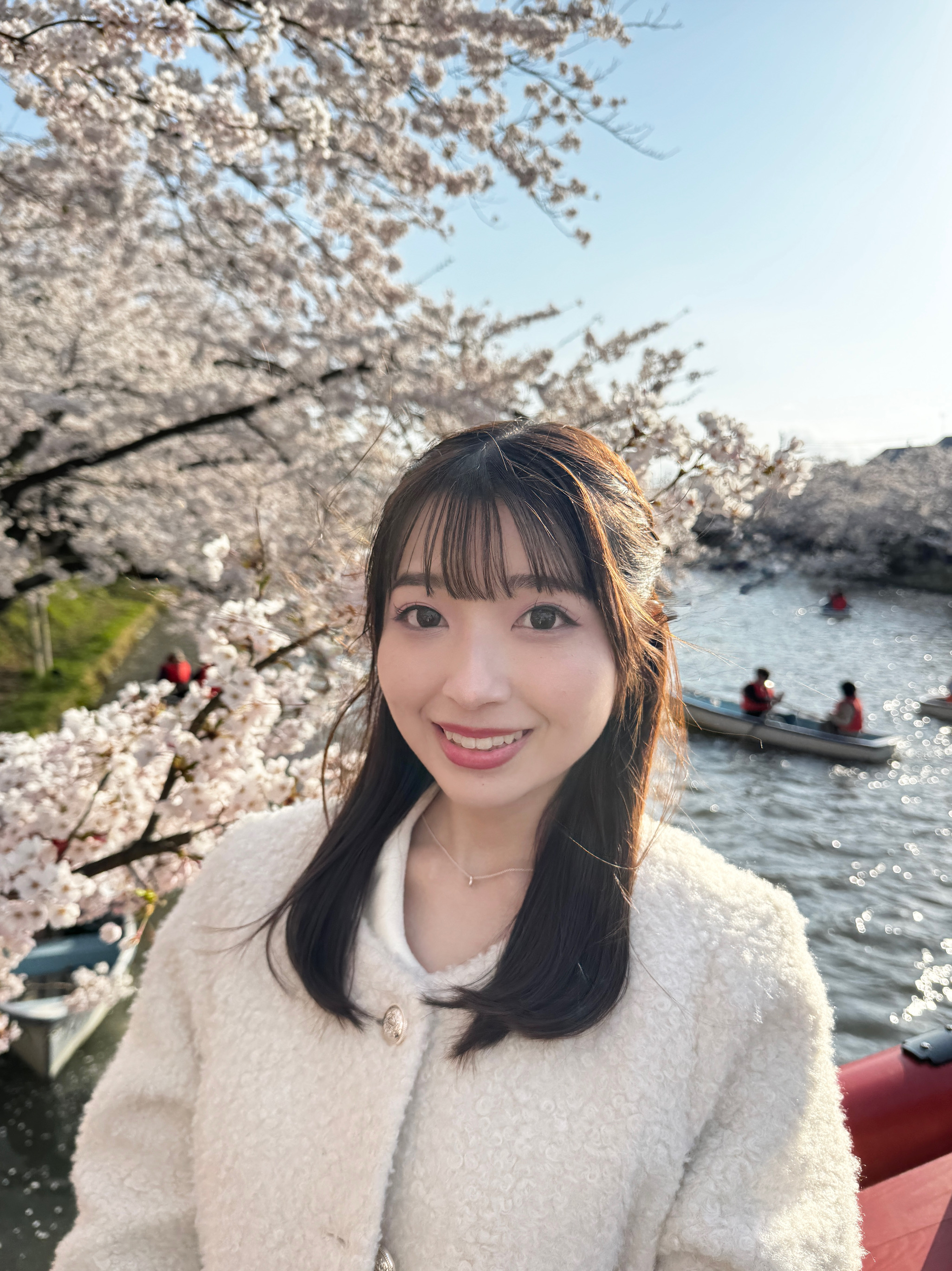 弘前さくら