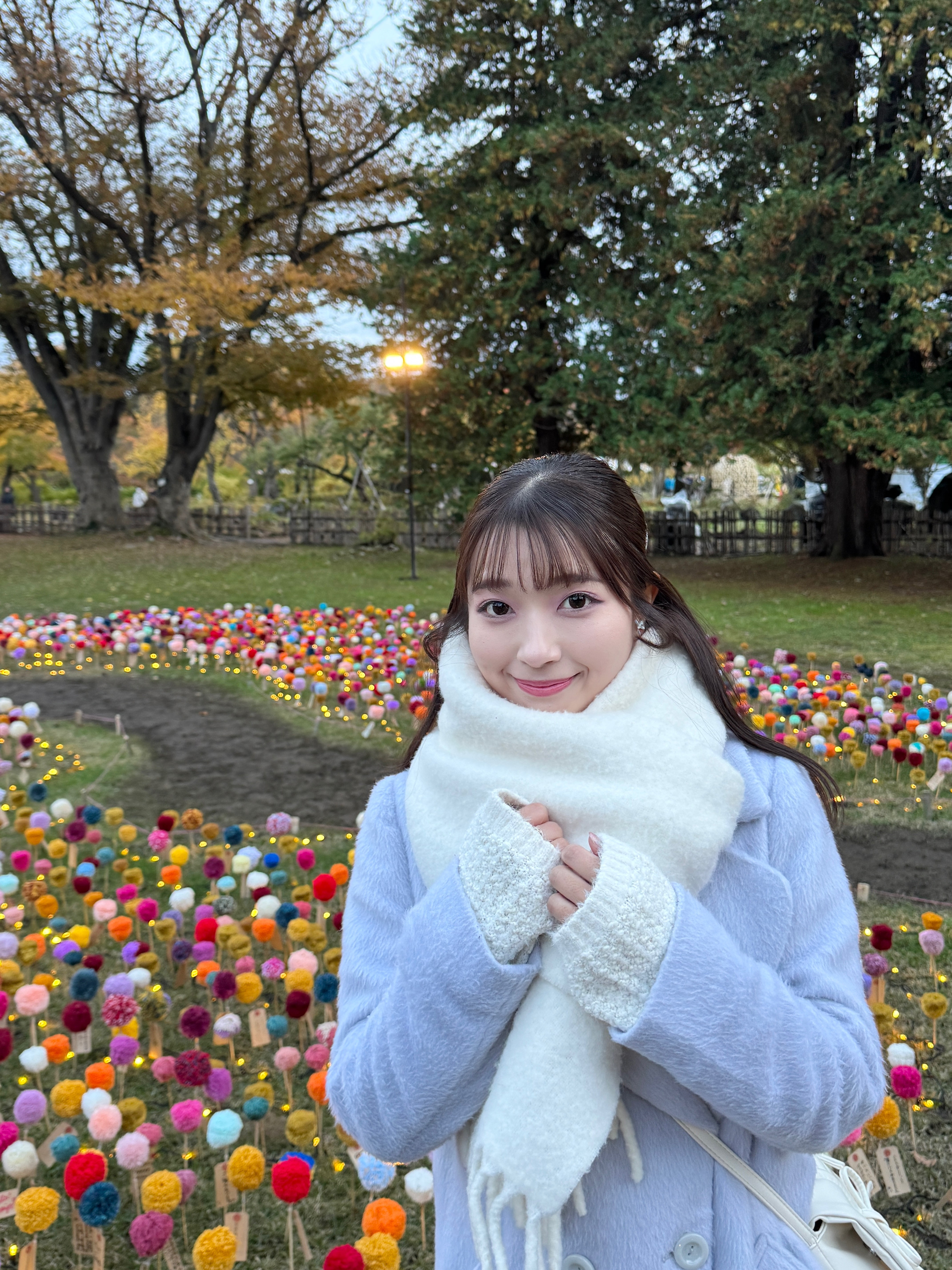 弘前城菊ともみじまつり1