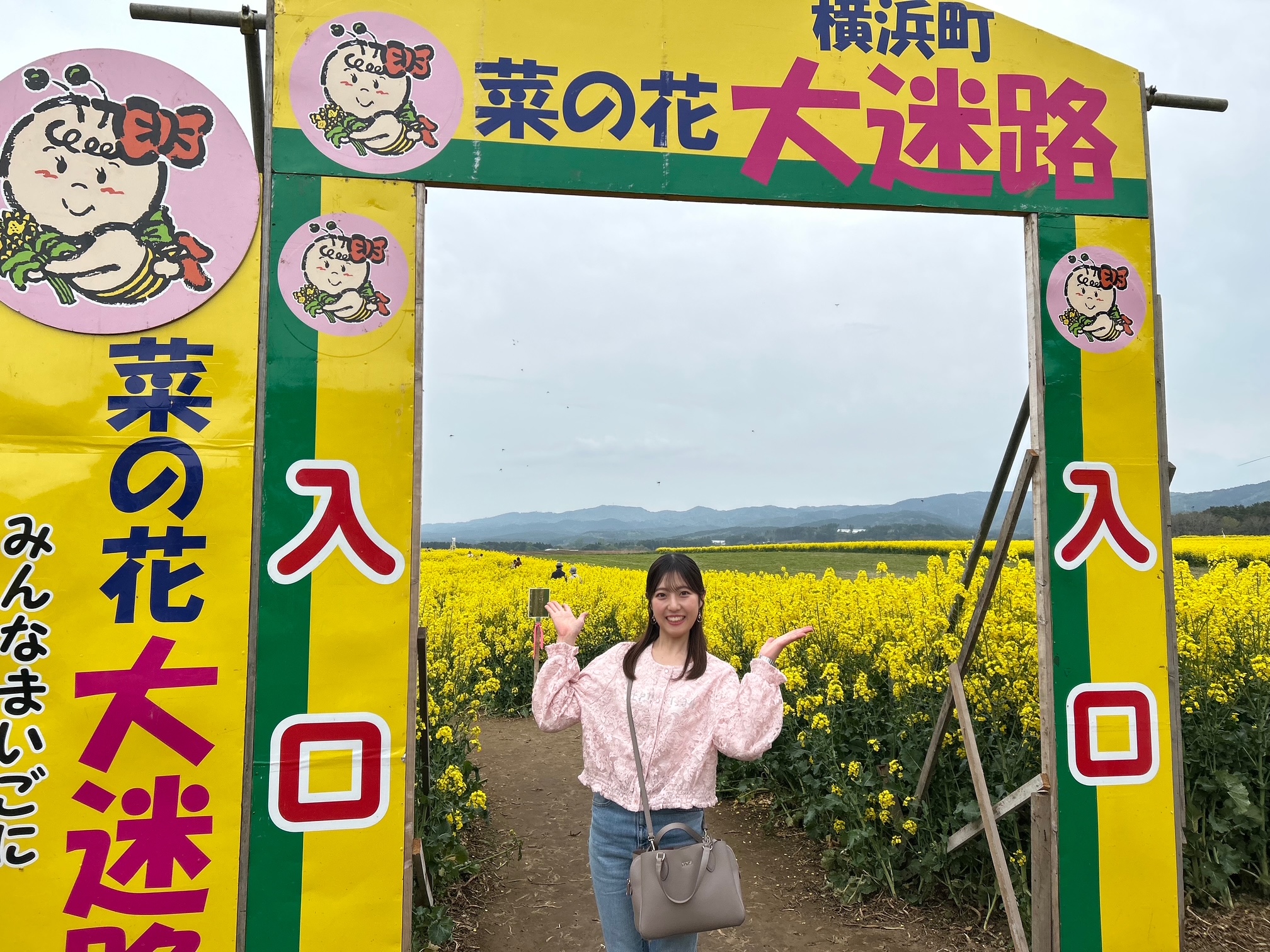 菜の花大迷路