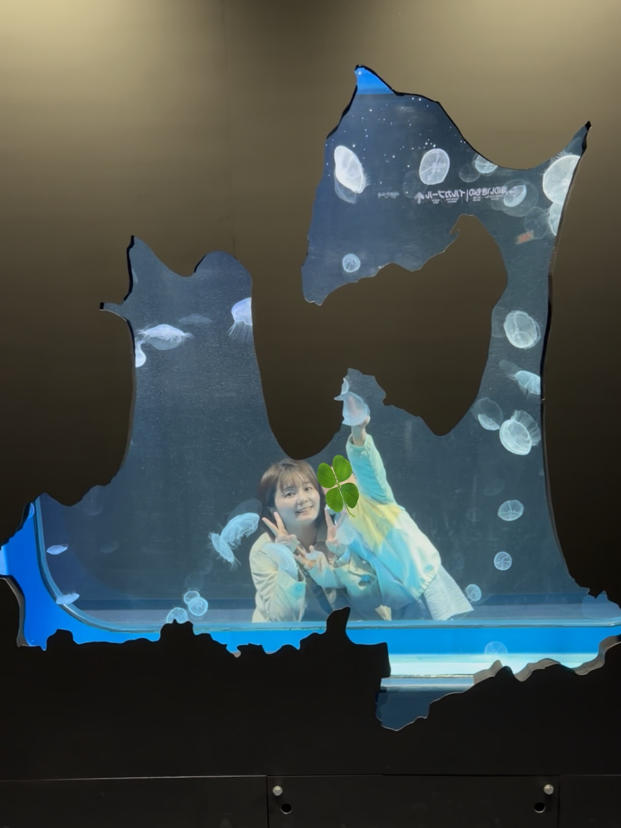 青森県ほたて水槽