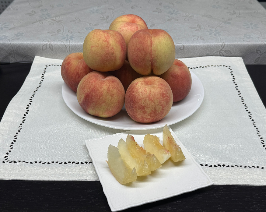 20250817peachMADOCA