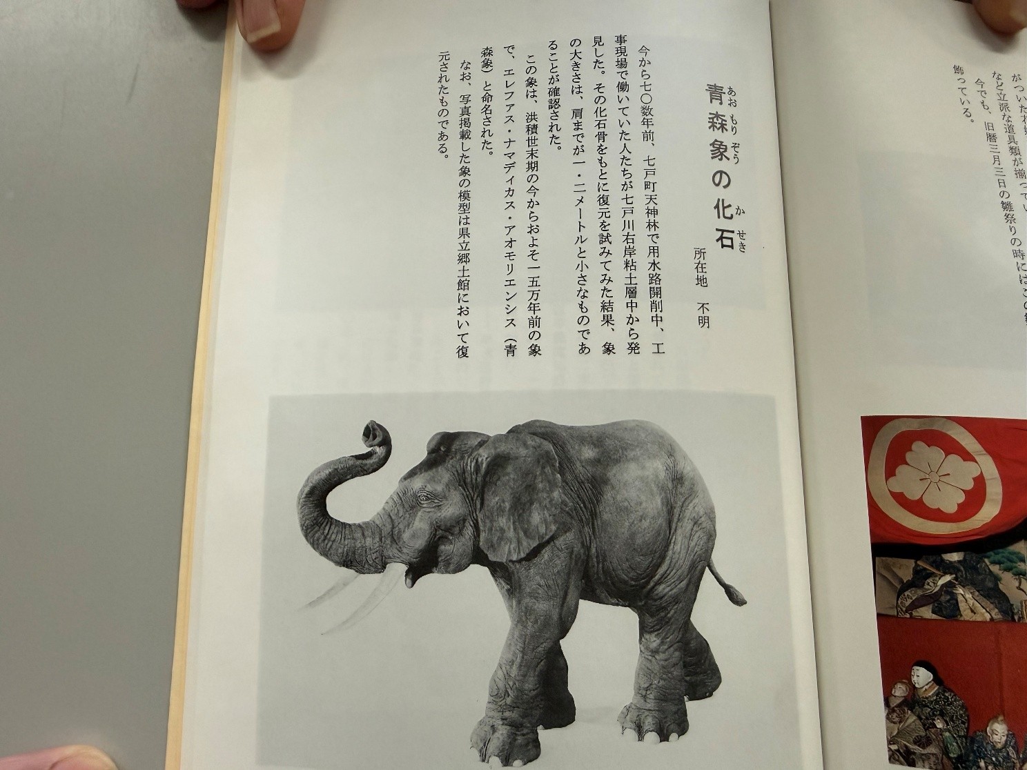 20260412GuideSHICHINOHE