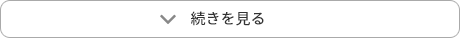 続きを見る
