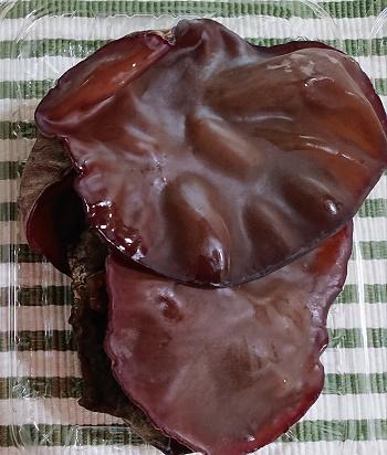 青森きくらげ１ (002).jpg