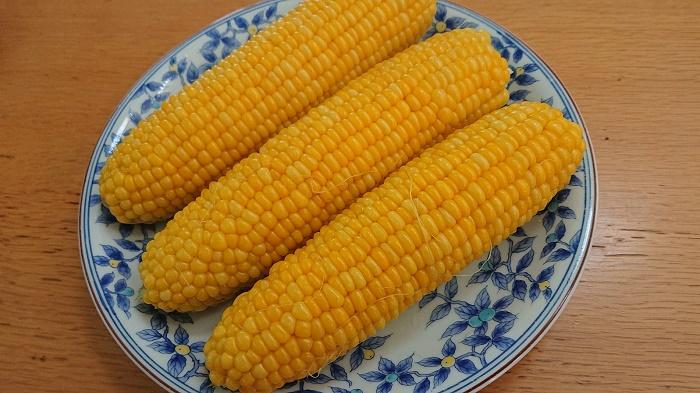 嶽きみ２.jpg