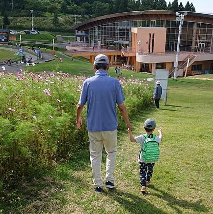 孫とコスモス.jpg