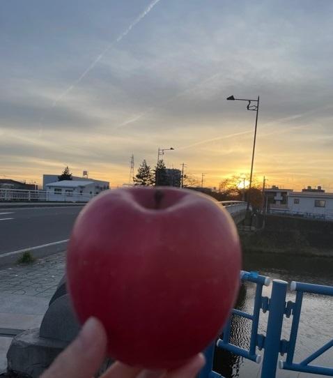 林檎と夕日.jpg
