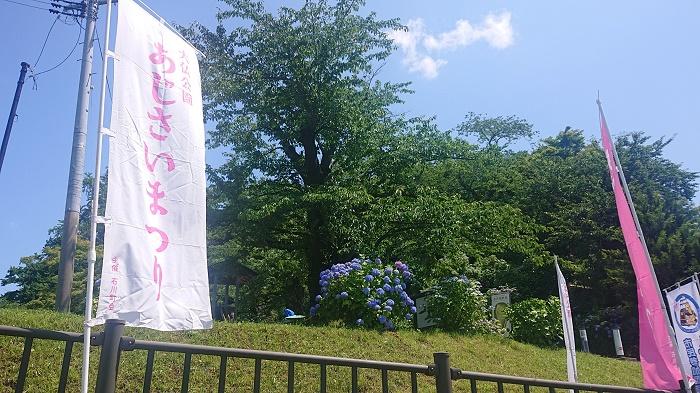 アジサイまつり１ (002).jpg