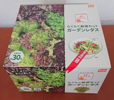 土いじり①.jpg