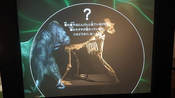 スケスケ展写真４ (002).jpg
