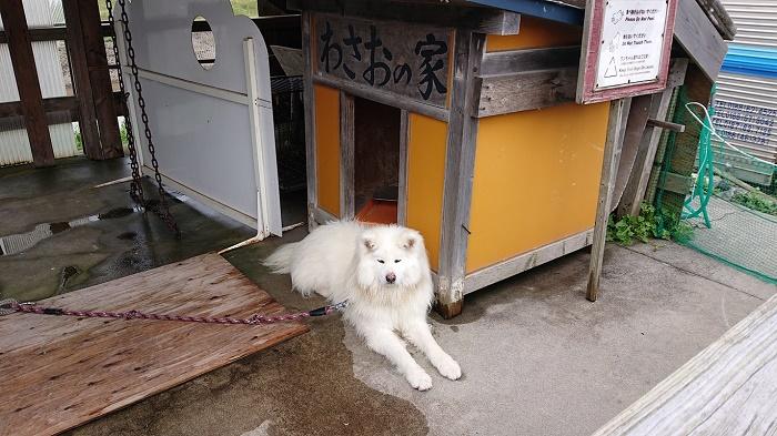 わさお写真展３.jpg