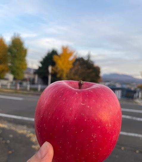 林檎と秋の山.jpg