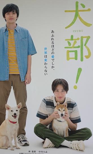犬部写真２ (002).jpg