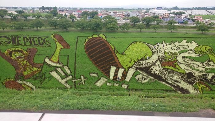 田んぼアート２ (006).jpg